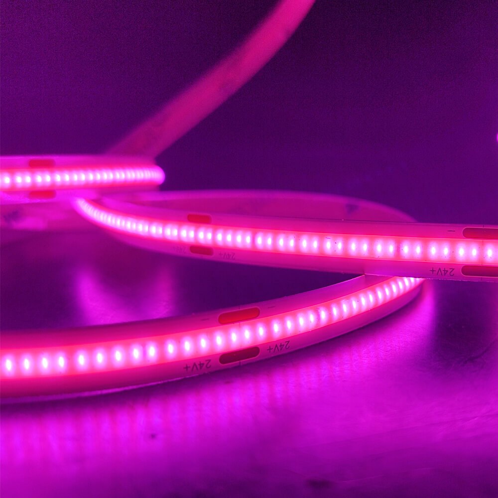 Tira LED COB 24V Carniceria - 副图 3