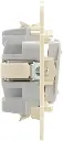 shopping (4).webp