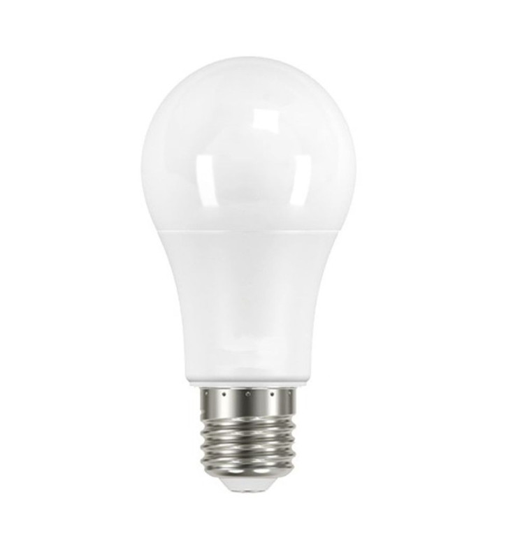 Bombilla LED E27 12W 1.000Lm 6000ºK R80