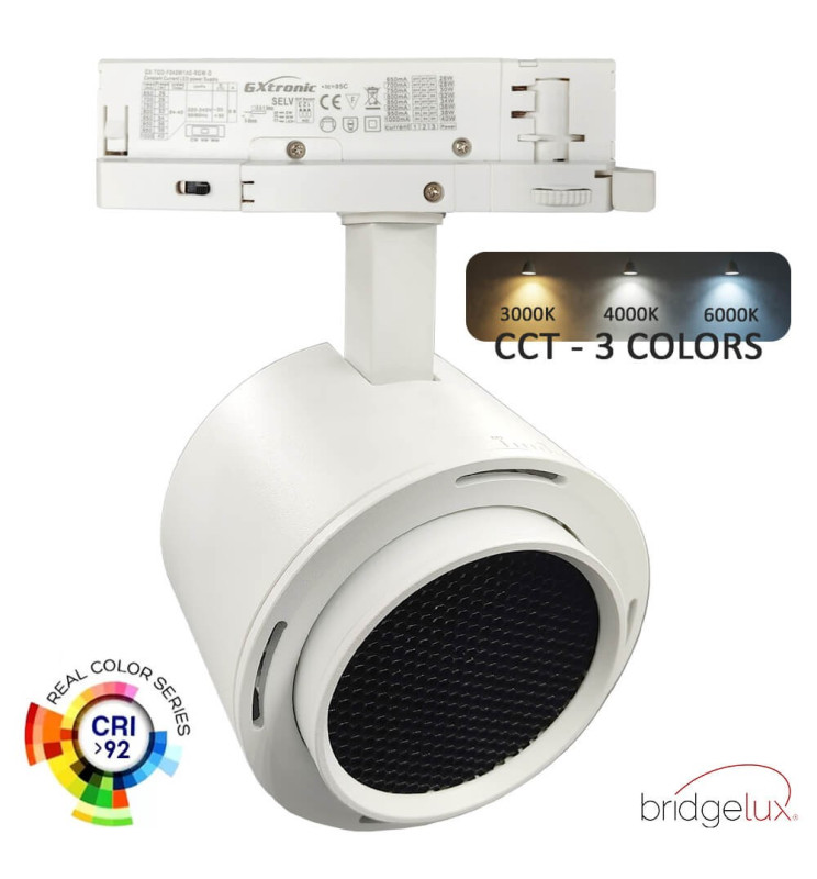 Foco LED 40W-34W Monofsico - ROMA - Driver 