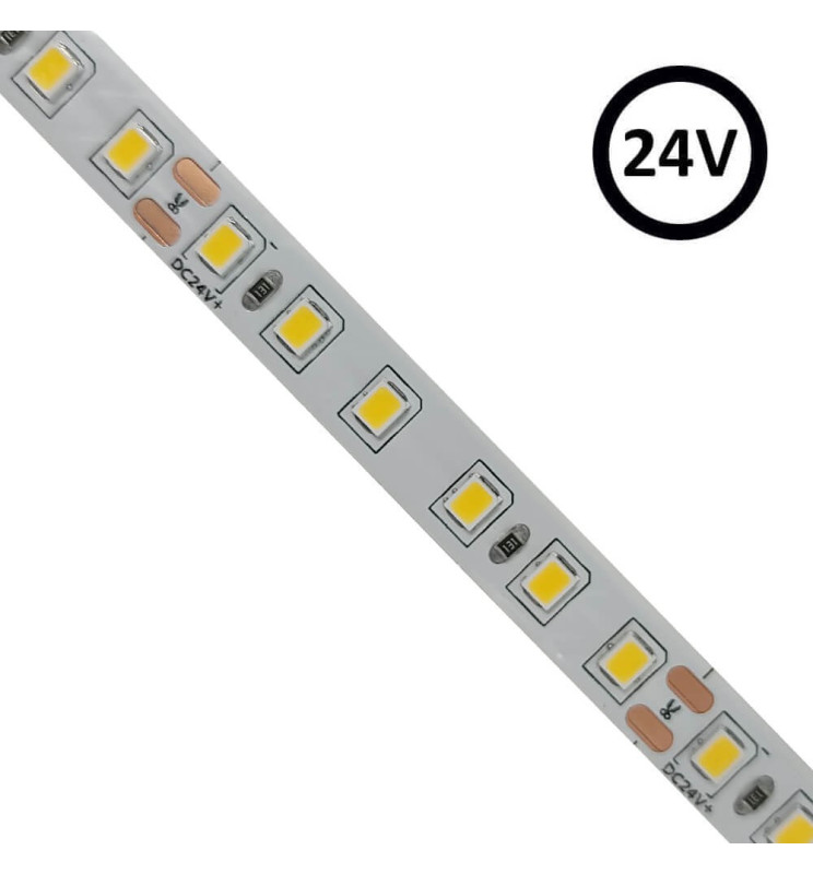 Tira LED 24V | 120xLED/m | 5m | SMD2835 |1100Lm 6000k