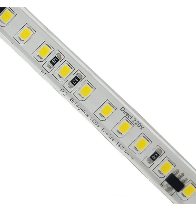 TIRA LED SP120D 220V/M