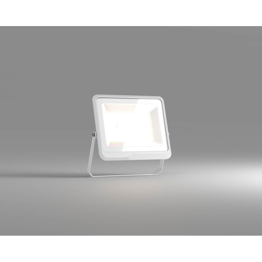 [21655] Proyector LED - Kmpig blanco 100W 4000K
